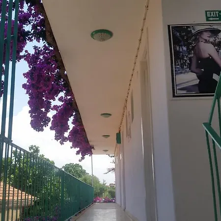 Evin Гостьовий будинок Сіде