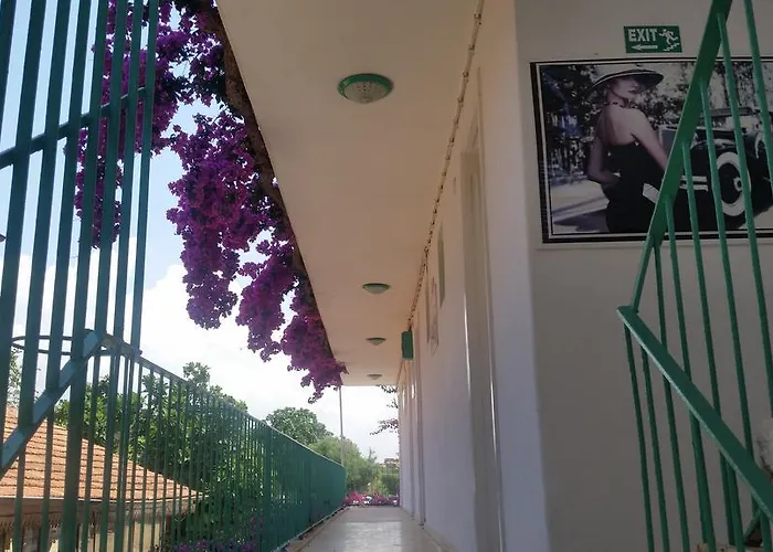 Evin بيت ضيافة سيدي